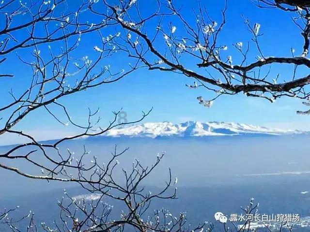阿尔的派对夜